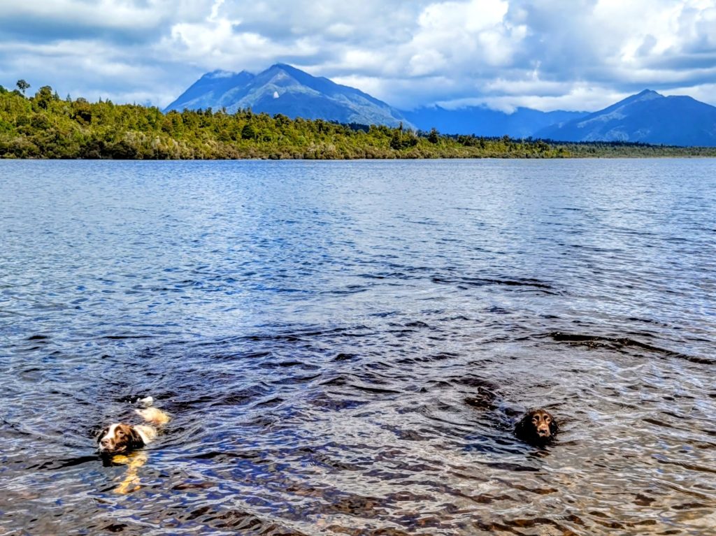 Swimming at Kapitea Reservoir
