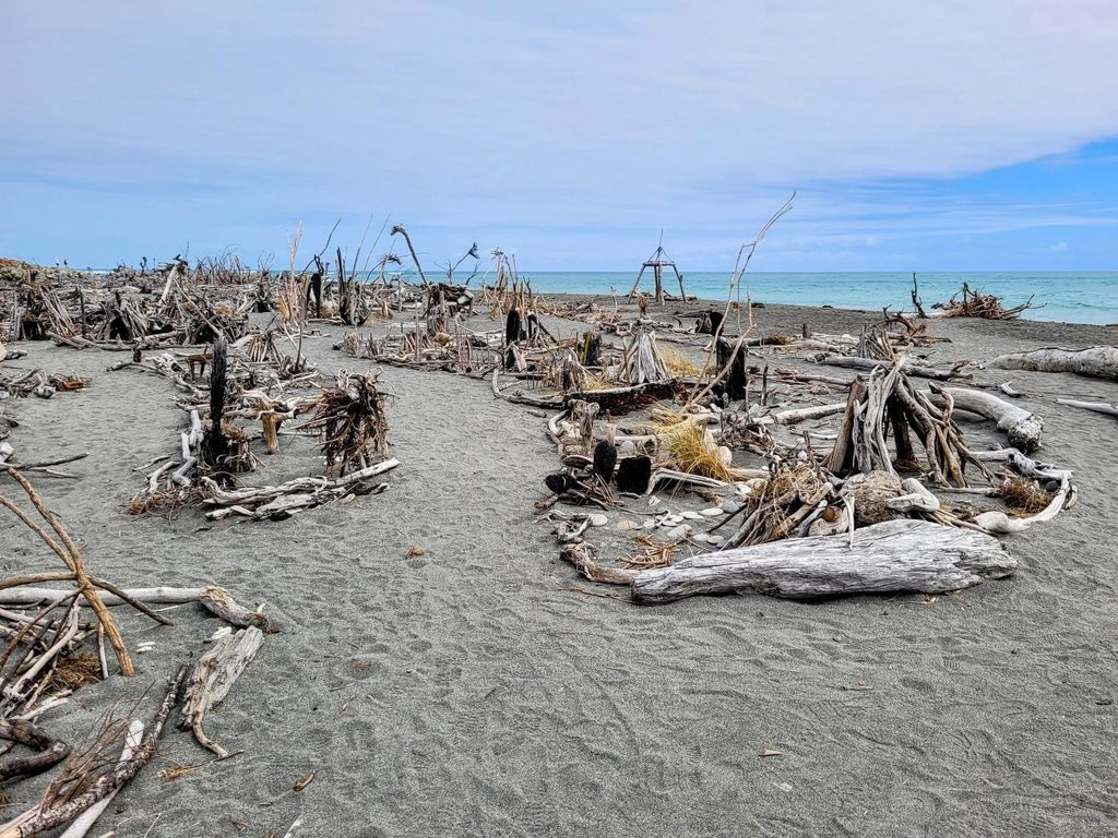 Driftwood and Sand in Hokitika