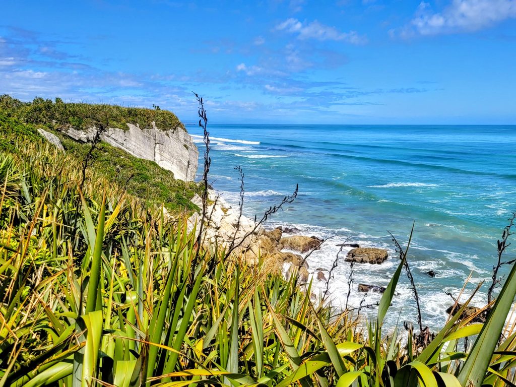 View from Point Elizabeth track