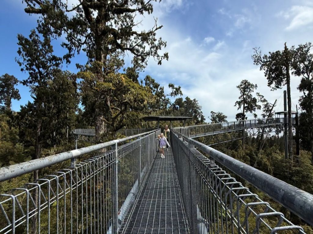 Tree Tops near Hokitika